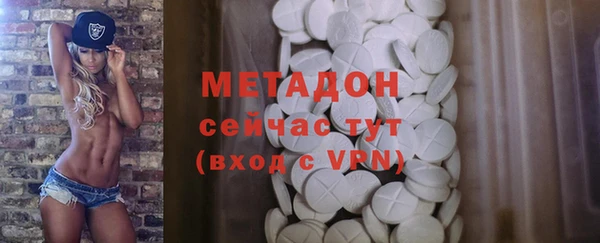 сатива Покачи