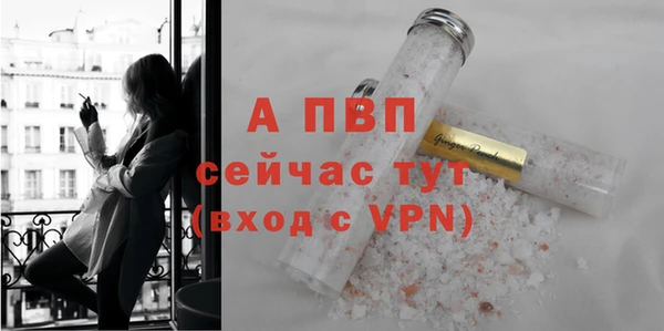 гидра Покровск