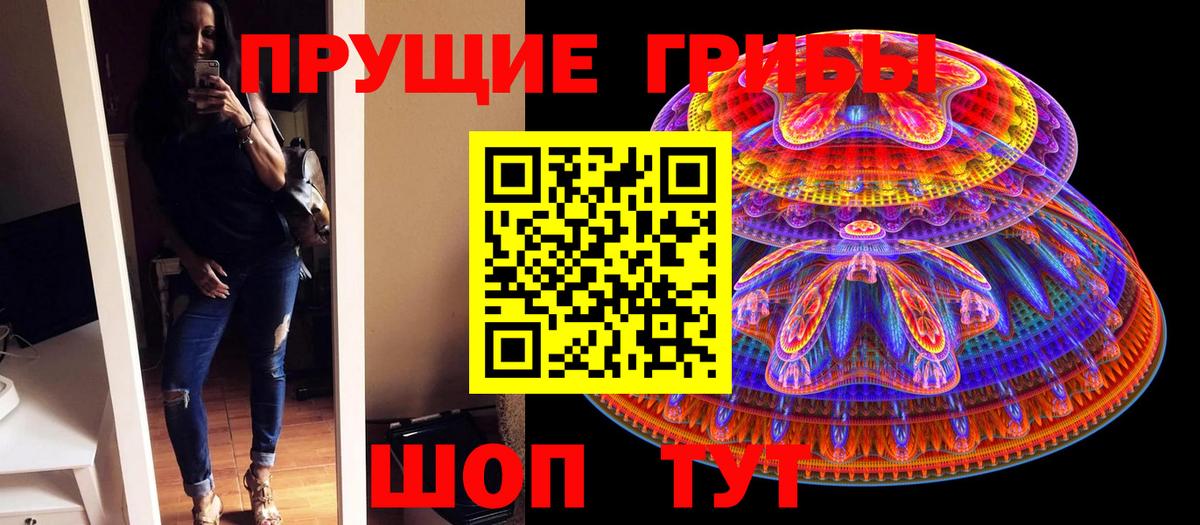 Великие Луки  Псилоцибиновые грибы мухоморы  Вход с VPN 