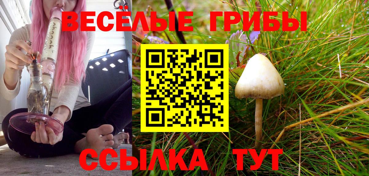Псилоцибиновые грибы Magic Shrooms  Великие Луки 